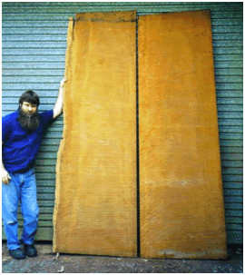 Timber